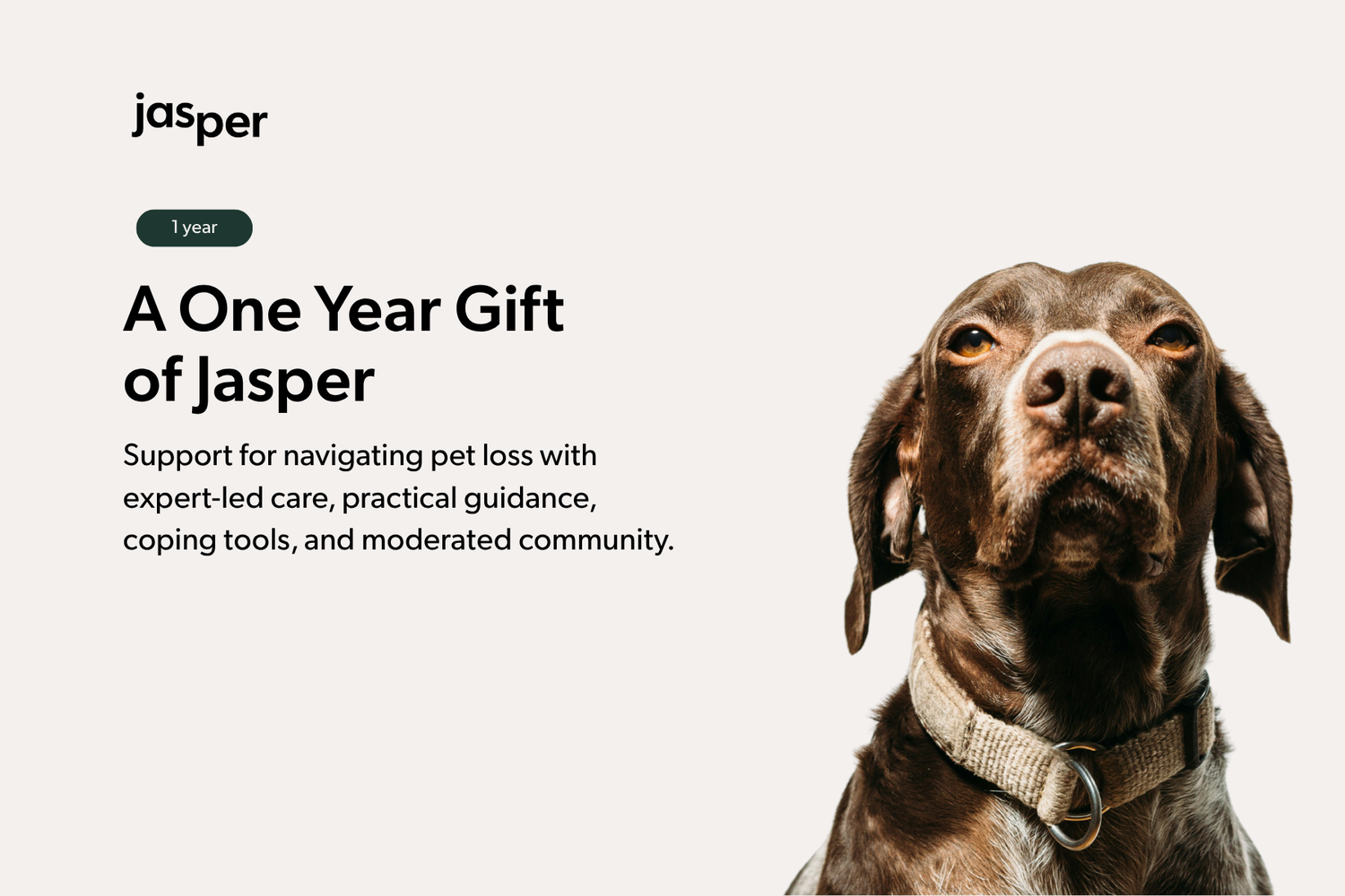 Jasper Membership