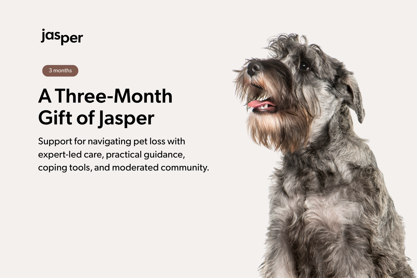 3-Month Jasper Membership