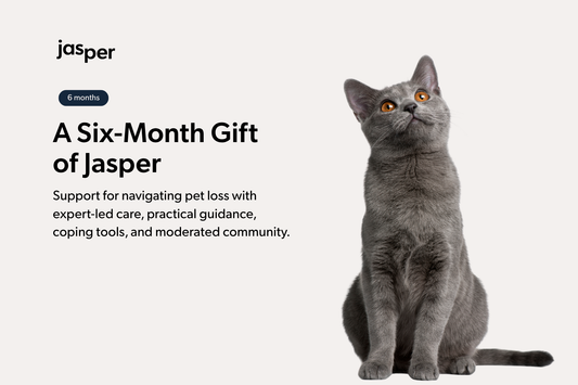 6-Month Jasper Membership