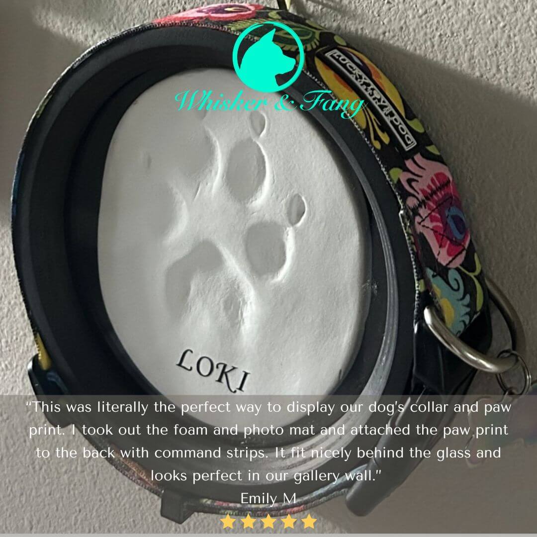Paw Print & Collar Memorial Frame Kit