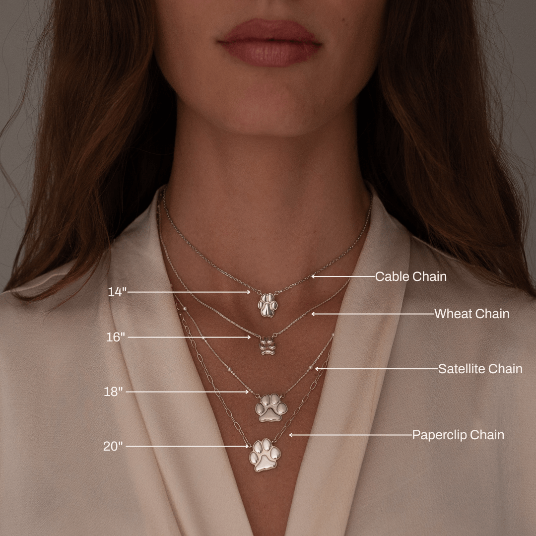 Silver Double Petite Paw Necklace