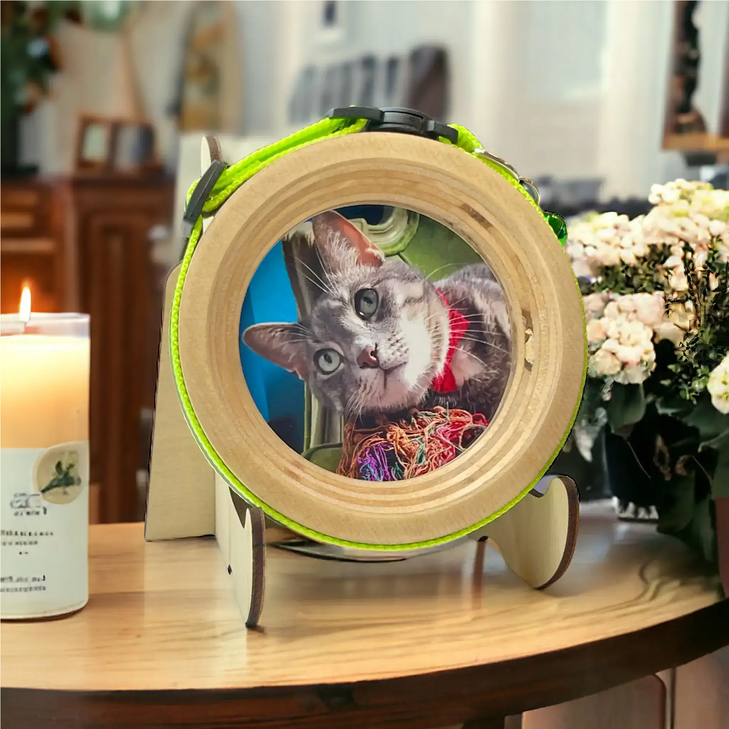 Cat Collar Frame |"The Garfield"