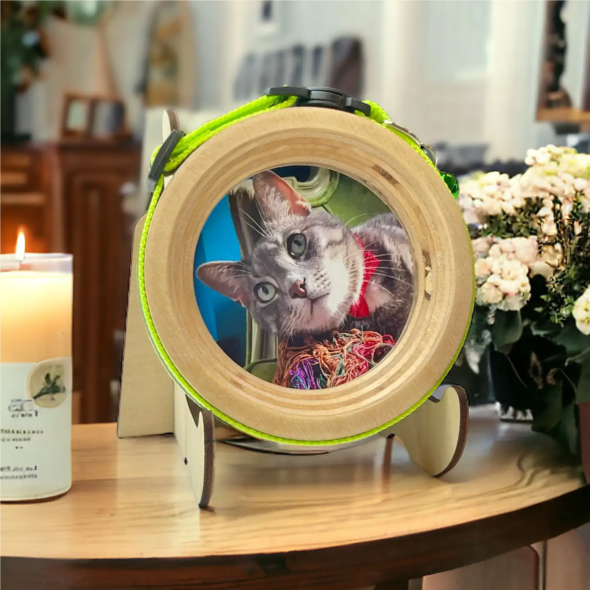 Cat Collar Frame |"The Garfield"