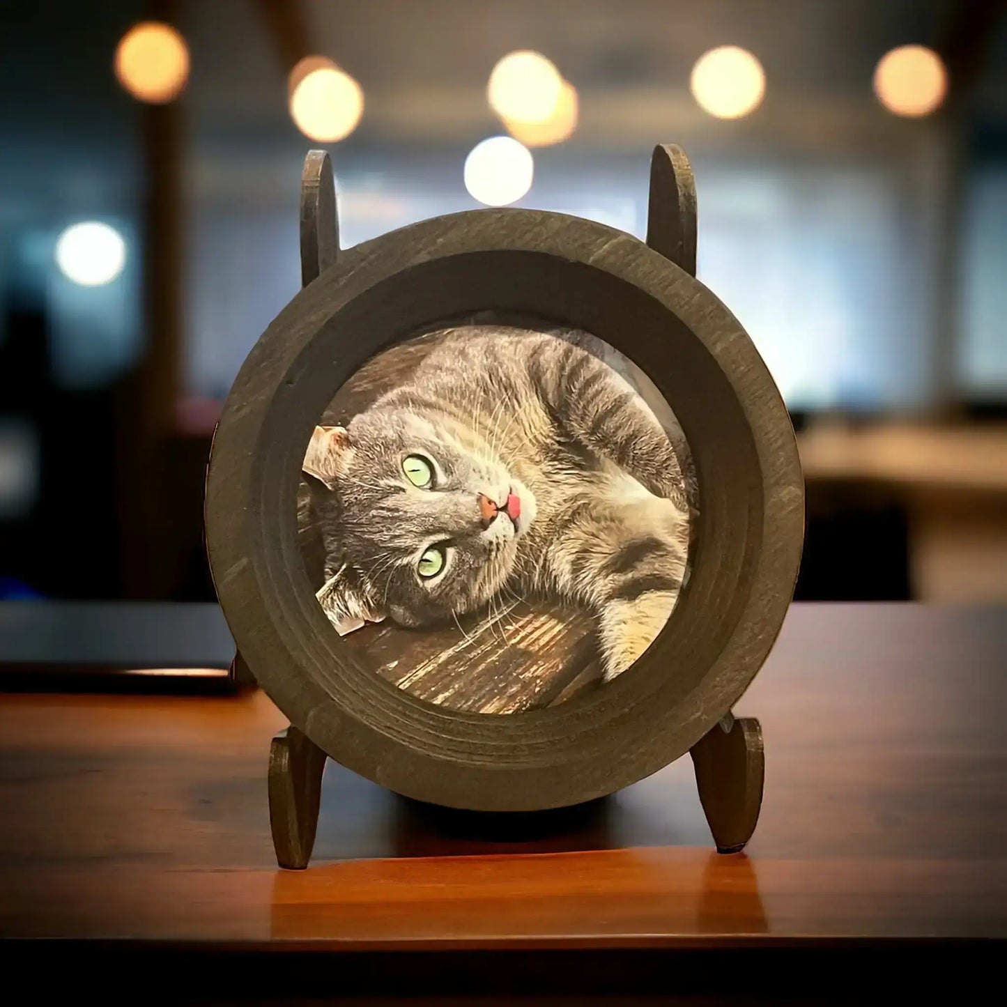 Cat Collar Frame |"The Garfield"