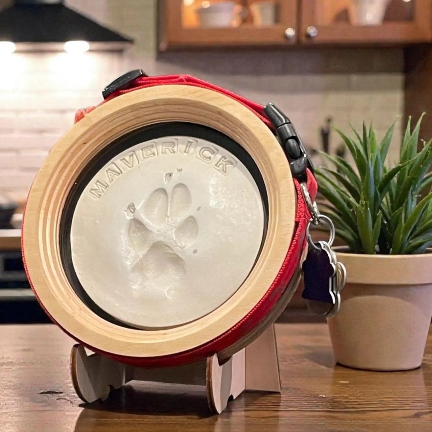 Paw Print & Collar Memorial Frame Kit