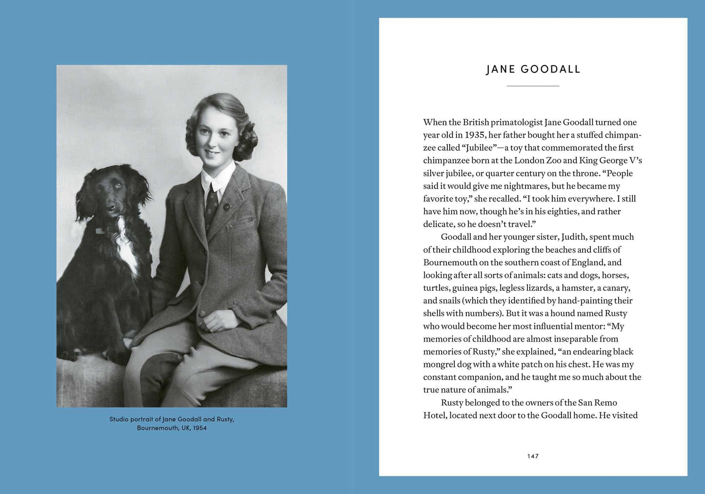 The Book of Pet Love & Loss