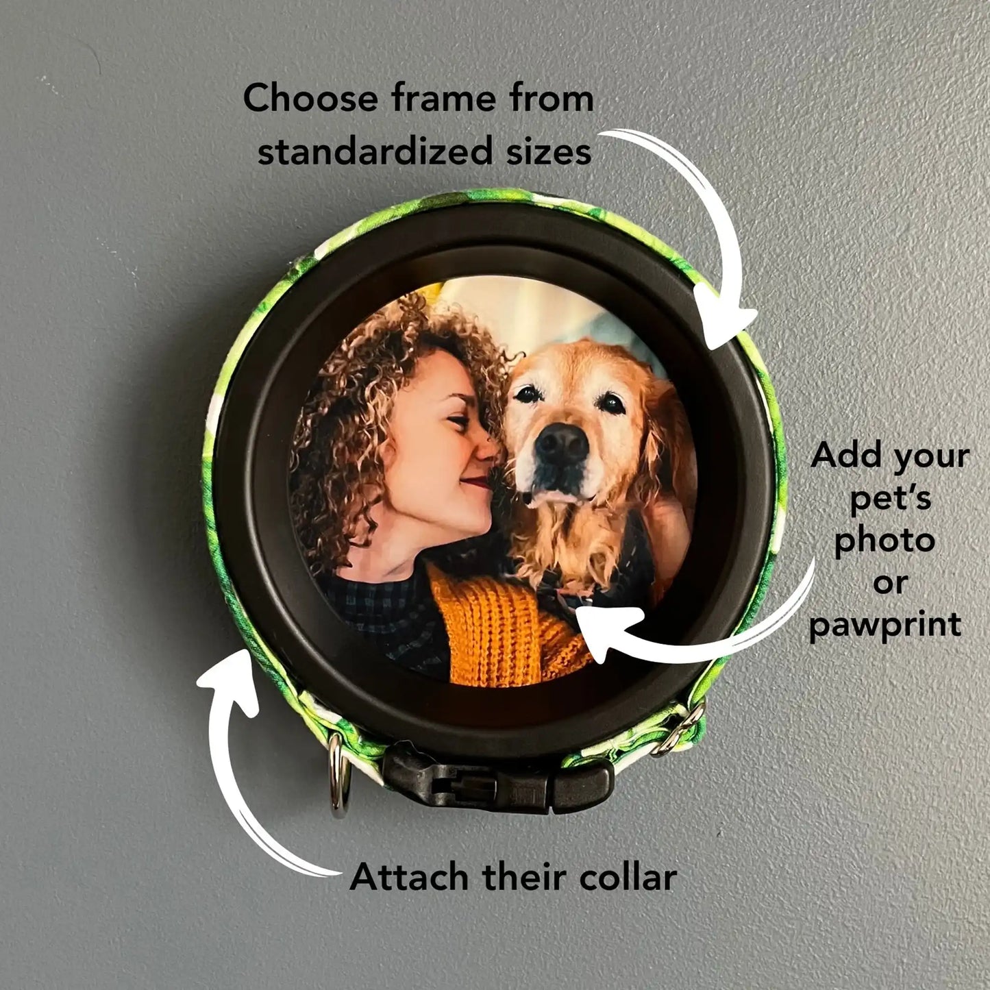 Cat Collar Frame |"The Garfield"