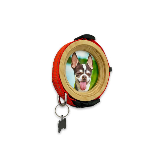 Small Dog Collar Frame | "The Chihuahua"